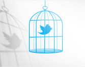 Twitter muda e se fecha para desenvolvedores