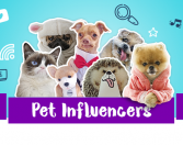 Pet influencer: quais são os animais mais conhecidos na web?