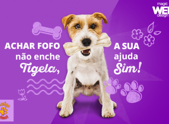 #MyMagicHeart: campanha para ajudar a ONG Amigo Animal