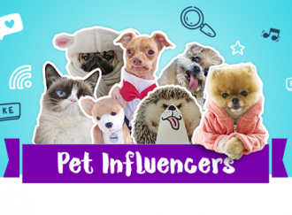 Pet influencer: quais são os animais mais conhecidos na web?