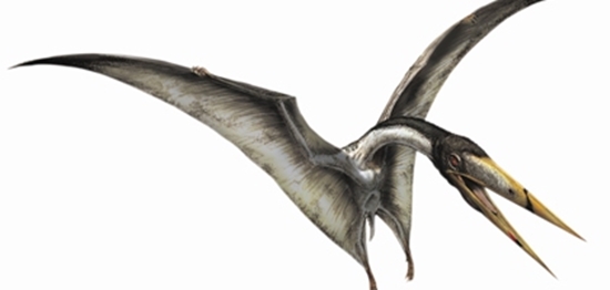 Segundo cientistas, os pterossauros do Jurassic World exageraram na violência