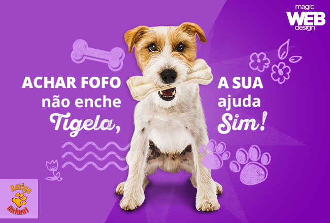 #MyMagicHeart: campanha para ajudar a ONG Amigo Animal