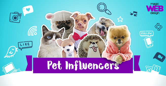 Pet influencer: quais são os animais mais conhecidos na web?