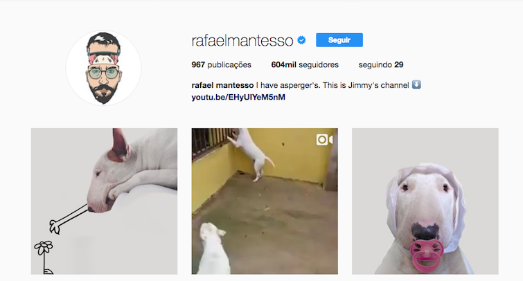 Pet influencer: quais são os animais mais conhecidos na web? - Magic Web Design